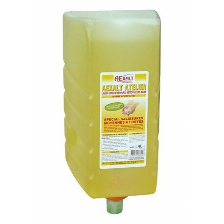 CARTOUCHE AEXALT ATELIER 4L